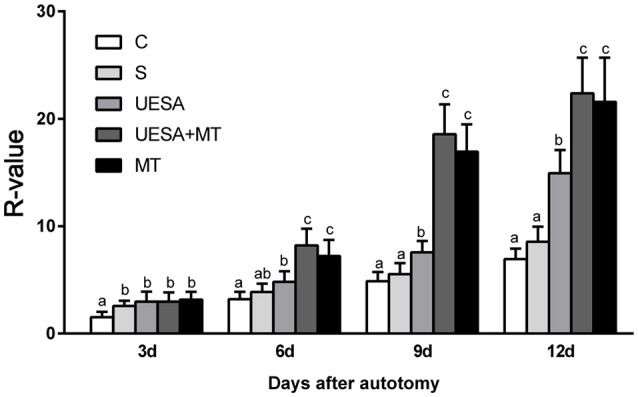 The cheliped bud length of E. sinensis over 12 days following the different treatments. The values are expressed as the means ± SD (n = 10). Different letters placed above column represent significant differences between treatments (P < 0.05).