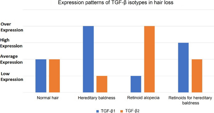 TGF‐β isotypes are expressed in equilibrium. In hereditary hair loss TGF‐β1 is over expressed and TGF‐β2 is under expressed. Because retinoic acid promotes expression of TGF‐β2 it can be used as a therapy for this type of hair loss. But normal hair types are negatively affected by retinoic acid, paradoxically by the same mechanism