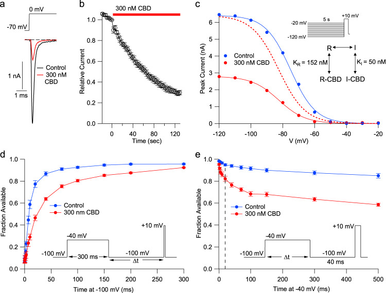 Potent stabilization of Nav1.7 inactivation by CBD.a Currents before and after application of 300 nM CBD for two minutes at 37 °C. b Time-course of inhibition of hNav1.7 channels by 300 nM CBD at 37 °C. Mean ± SEM, n = 7 cells. c Shift in the voltage-dependence of steady-state channel availability (determined by 5-s prepulses followed by a test pulse to +10 mV) by 300 nM CBD. Closed circles: Peak test pulse current versus prepulse voltage in a representative cell before and after 300 nm CBD. Solid lines: fits to Boltzmann function (control: midpoint −75.2 mV, slope factor 7.9 mV; 300 nM CBD: midpoint −82.6 mV, slope factor 8.4 mV). The dashed line shows the Boltzmann function fitted to CBD data normalized to the control Boltzmann fit to show the shift in voltage dependence. Inset: calculated values for dissociation constants of CBD binding to resting and inactivated states21, using average data from 6 cells. d Slowed recovery from inactivation with CBD, assayed at −100 mV following a 300-ms step to −40 mV to promote binding of CBD to fast inactivated channels (mean ± SEM, n = 6 cells for recovery times ≥ 10 ms, 5–6 cells for times <10 ms). e Time-course of entry into slowly-recovering states during steps to −40 mV in the absence and presence of CBD (mean ± SEM, n = 6 cells). A dashed line is drawn at 20 ms, showing rapid entry of channels into slowly-recovering states consistent with binding to fast inactivated states.