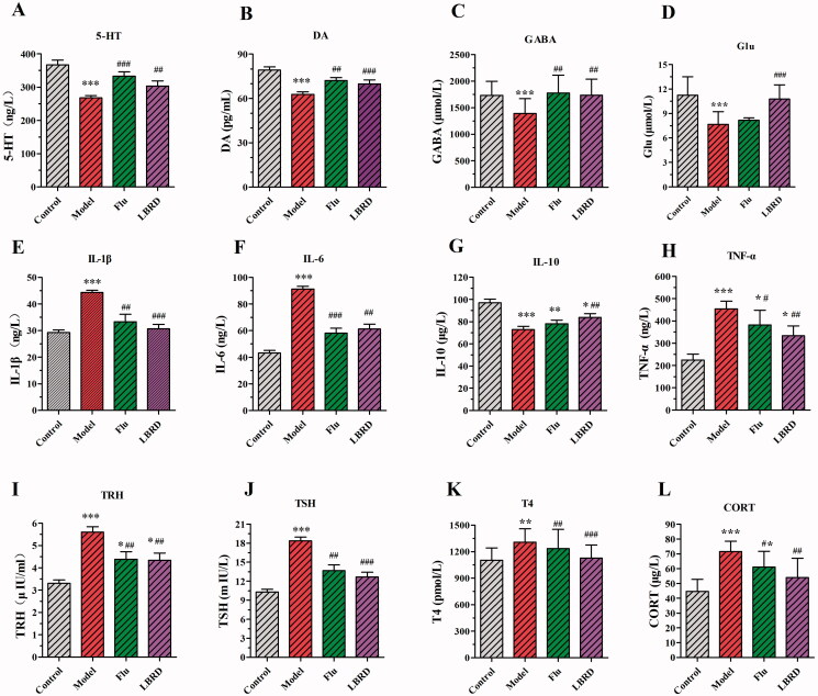 LBRD ameliorates neurotransmitter and inflammatory cytokine levels in the serum of rats induced by LPS. LBRD standard decoction or fluoxetine treatment significantly increased the level of 5-HT (A), DA (B), GABA (C), IL-10 (G), and decreased Glu (D), IL-1β (E), IL-6 (F), TNF-α (H), TRH (I), TSH (J), T4 (K) and CORT (L). Data are expressed as mean ± SD (n = 8–10 per/group) and differences between two groups were compared by Student’s t-test. *p< 0.01, **p< 0.01, ***p< 0.001, vs. control group; #p< 0.05, ##p< 0.01, ###p< 0.001, vs. model group. Control: control group, Model: model group (LPS), Flu: LPS + Flu group and LBRD: LPS + LBRD group.