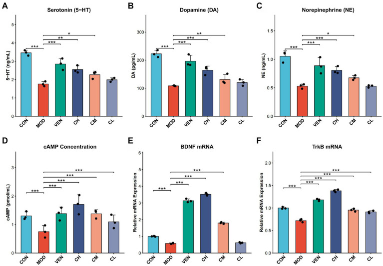 Bar graph figure with six panels comparing different neurotransmitter levels, cAMP concentration, and mRNA expression among six groups: control (CON), model (MOD), venlafaxine (VEN), CH, CM, and CL. Panels display serotonin (A), dopamine (B), norepinephrine (C), cAMP (D), BDNF mRNA (E), and TrkB mRNA (F) concentrations, with statistical significance indicated by asterisks across groups.