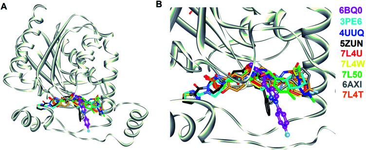 The complex structures of hMAGL with known inhibitors. (A) The superimposition of complex structures of hMAGL-inhibitor. (B) The amplified view of inhibitors binding into the active site of hMAGL. In (A) and (B), hMAGL was presented as ribbons (light-gray); the inhibitors shown as sticks were colored and labeled with PDB ID.