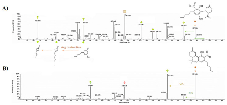 TOF-MS/MS spectra of CBDA (A) and Δ9-THCA (B) acquired using a hybrid Q-TOF MS instrument, the AB SCIEX Triple TOF® 4600 (AB Sciex, Concord, ON, Canada) and MS parameters were as follows: curtain gas (CUR) 35 psi, nebulizer gas (GS 1) 60 psi, heated gas (GS 2) 60 psi, ion spray voltage (ISVF) 4.5 kV, interface heater temperature (TEM) 600 °C, declustering potential (DP) −75 V, and collision energy (CE) −5. In TOF-MS/MS experiments, collision energy (CE) applied was −55 V with a collision energy spread (CES) of 35.