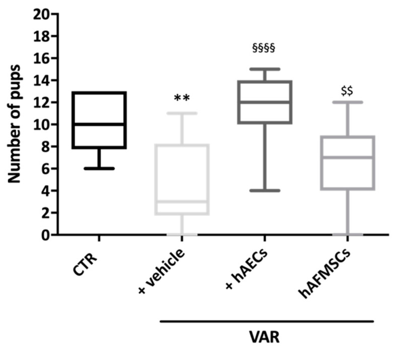Influence of VAR treatment with hAECs and hAFMSCs on rat fertility rate. The fertility outcomes were recorded in CTR, +vehicle (VAR with injected medium), hAECs and hAFMSCs (both VAR plus injected medium containing 0.5 × 106 cells/treated rats). Data were expressed as follow: (median [5th–95th percentile]), visualized by Turkey-style box plot and analyzed by Kruskal–Wallis followed by post hoc Dunn’s multiple comparison test. Values statistically different for ** p < 0.01 vs. CTR, §§§§ p < 0.001 vs. +vehicle, and $$ p < 0.01 vs. +hAECs.
