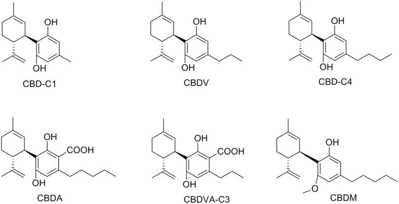 Natural phytocannabinoid CBD analogs.