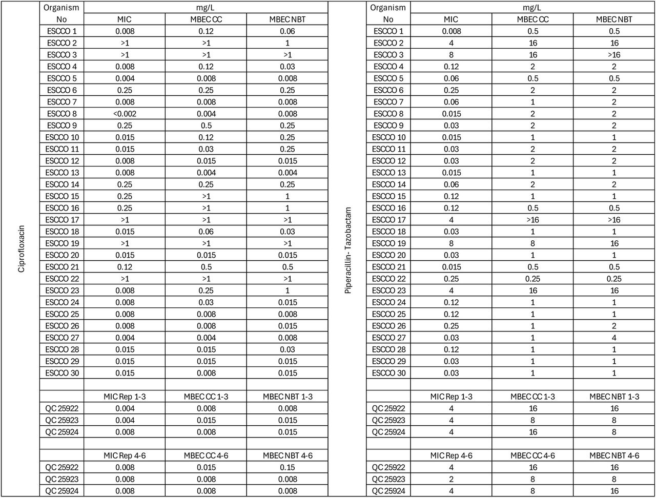 Mean MIC and MBEC E. coli vs Ciprofloxacin, Mean MIC and MBEC E.coli vs Piperacillin/Tazobactam