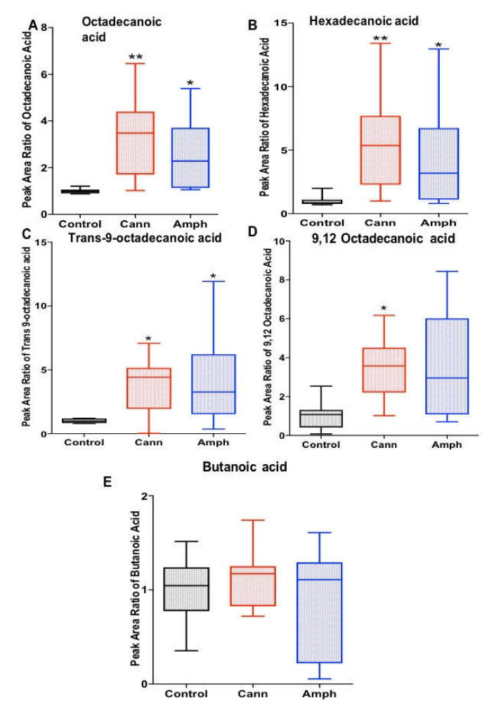 Effects of cannabis or amphetamine on selected fatty acids in cannabis or amphetamine use disorder patients. (A) Kruskal–Wallis test followed by Dunn’s post hoc analysis showed amphetamine and cannabis groups possessed higher octadecanoic acid compared with control group. (B) Kruskal–Wallis test followed by Dunn’s post hoc analysis showed amphetamine and cannabis groups possessed higher hexadecenoic acid compared with control group. (C) Kruskal–Wallis test followed by Dunn’s post hoc analysis showed that trans-9-octadecanoic acid was higher in the amphetamine or cannabis group compared with the control group. (D) Kruskal–Wallis test followed by Dunn’s post hoc analysis revealed that 9,12 octadecanoic acid was higher in the cannabis group compared with the control group. (E) Kruskal–Wallis test followed by Dunn’s post hoc analysis did not reveal significant changes in butanoic acid between the groups. (* p < 0.05, ** p < 0.01). Cann, cannabis. Amph, amphetamine.