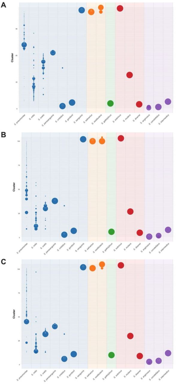 Distribution of PBP protein clusters across all oral streptococci groups and S. pneumoniae. Sequence diversity was analyzed for (A) pbp1a, (B) pbp2b, and (C) pbp2x. MMseqs2 was utilized with a 95% amino acid sequence identity threshold. Species are color-coded by phylogenetic group with bubble size representing the proportion of sequences belonging to a specific cluster within each species.
