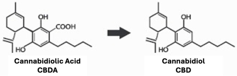 Decarboxylation process from cannabidiolic acid (CBDA; left) to cannabidiol (CBD; right).