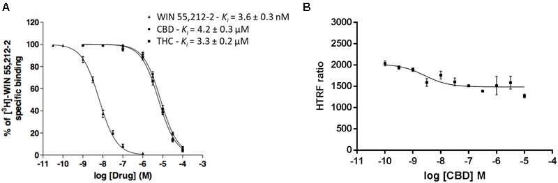 Competition curves in radioligand- and HTRF-based assays. (A) Competition curves of specific 3 nM [3H]-WIN 55,212-2 binding by unlabeled (0–10 μM) WIN 55,212-2, CBD and THC. (B) Competition curve of specific binding of 100 nM red CB2R ligand with increasing concentrations of CBD (0–10 μM) measured by HTRF. Data represent the mean ± SEM of a representative experiment (n = 4). HTRF ratio = (665 nm acceptor signal/620 nm donor signal) × 10,000.