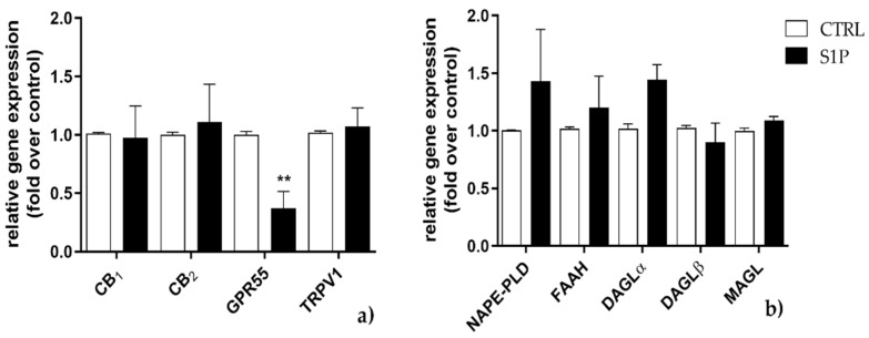 Effect of S1P on mRNA expression of endocannabinoid (eCB)-binding receptors (a) and metabolic enzymes (b) at 48 h. C2C12 cells were left untreated (in white) or were treated for 48 h with 1 µM of S1P (in black). The values are expressed as 2(−∆∆𝐶𝑡) and normalized to β-Actin and GAPDH. Data are presented as means ± SEM (n = 5). Statistical analysis was performed by TWO-WAY ANOVA test followed by Bonferroni post hoc test. [** p < 0.01 vs. control cells (CTRL)].