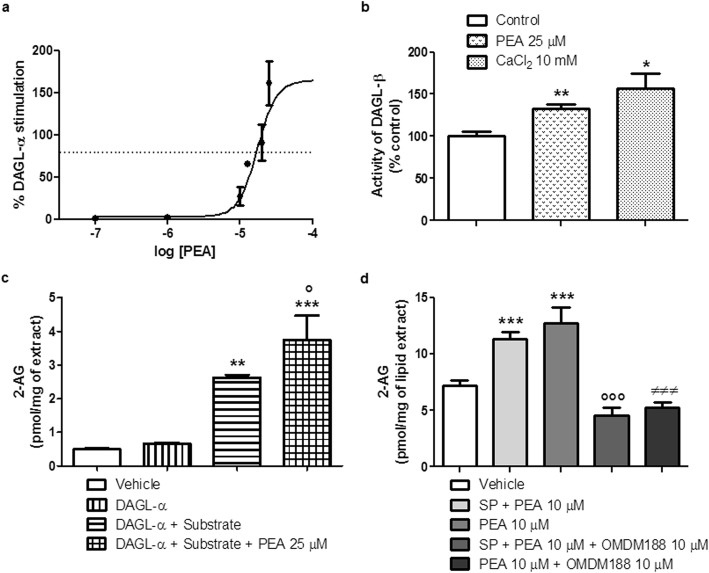 PEA stimulates DAGL-α and -β. a Concentration-response curve for the stimulation of DAGL-α activity by PEA. The curve shows the % of stimulation compared to the activity of the enzyme with no PEA, observed with increasing concentrations of PEA in membranes obtained from COS-7 cells over-expressing human recombinant DAGL-α. Data are the means ± SEM. b Effect of PEA (25 μM) and CaCl2 (10 mM) on DAGL-β activity in RBL-2H3 cell membranes. Data are the means ± SEM. *p < 0.05 and **p < 0.01 compared with Control. c The levels of 2-AG by LC-MS were measured after that membrane preparations (70 μg of protein) from COS-7 cells over-expressing DAGL-α were incubated with 1-oleoyl-2-arachidonoylglycerol (25 μM) in the presence or absence of PEA (25 μM) for 20 min at 37 °C, i.e., using the same conditions for enzyme activity assay as in a. Each bar shows the mean ± SEM. **p < 0.01 and ***p < 0.001 compared with DAGL-α. °p < 0.05 compared with DAGL-α + substrate. d The endogenous levels of 2-AG were measured after that RBL-2H3 cells were treated with PEA (10 μM) in the presence or absence of the DAGL inhibitor, OMDM188 (10 μM), or stimulated with SP (10 μM) and treated with PEA (10 μM) in the presence or absence of OMDM188 (10 μM), for 15 min at 37 °C in a 5% CO2 atmosphere. Each bar shows the mean ± SEM. ***p < 0.001 compared with vehicle. °°°p < 0.001 compared with SP + PEA 10 μM. ≠≠≠p < 0.001 compared with PEA 10 μM. Vehicle, SP + PEA 10 μM and PEA 10 μM data are the same as in Fig. 5b