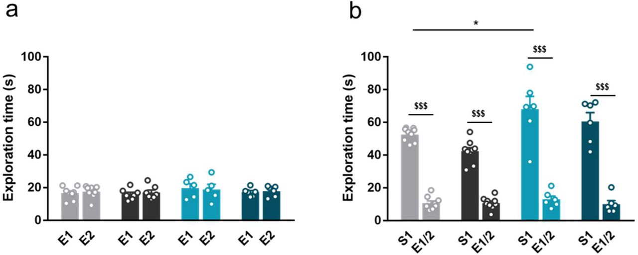 Acute administration of JZL184 does not normalise hypersociable phenotype in CD mice. (a) Time spent exploring both empty compartments (E). (b) Time spent exploring either empty compartments (E) or stranger mice (S) after one single of treatment of vehicle (VEH) or JZL184 (8 mg/kg) (WT VEH, n=8; WT JZL184, n=7; CD VEH, n=5; CD JZL184, n=6). Statistical significance was calculated by repeated measures ANOVA comparison. $$$ p<0.001 (compartment effect); * p<0.05 (genotype effect). Data are expressed as mean ± S.E.M.