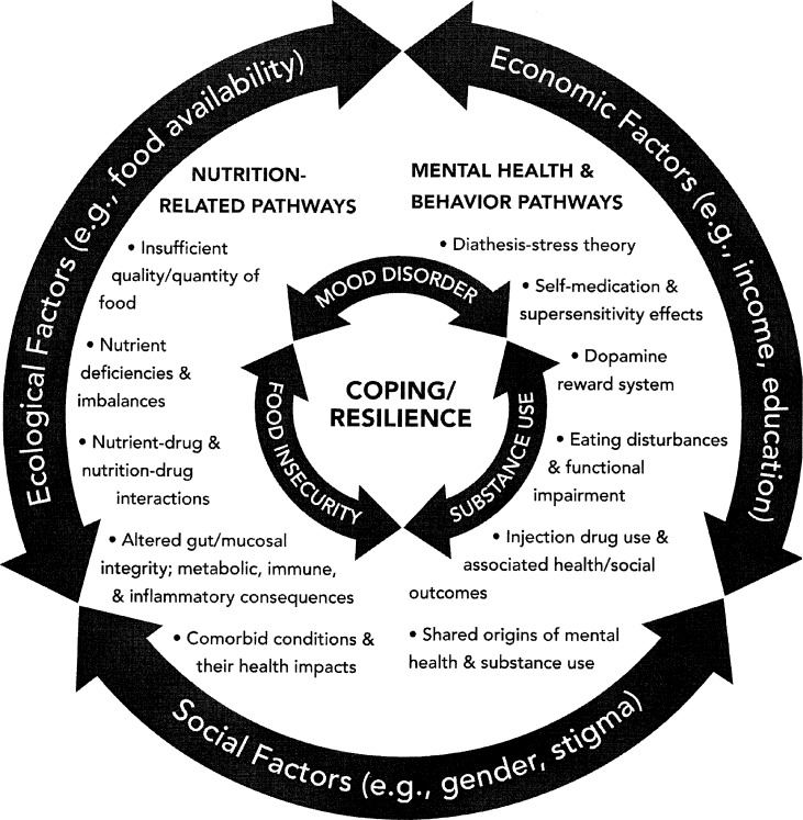 Food insecurity, poor mental health, and substance use: Explanatory pathways [9, 45].