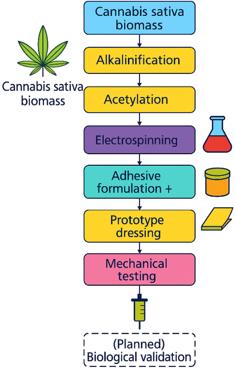 Visual summary of the fabrication and testing workflow for cellulose acetate membrane-based adhesive dressings derived from Cannabis sativa biomass.