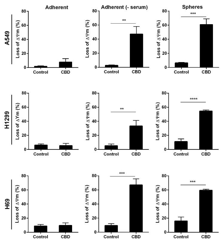 CBD decreases the mitochondrial membrane potential. Adherent cells in the presence, absence, or spheres were incubated with 10 µM CBD for 24 h. Next, cells were stained with JC-1 to measure the mitochondrial membrane potential. Data were analyzed using the NucleoCounter NC-3000. The result is the mean of cells with low mitochondrial membrane potential ± SD of three independent experiments. ** p < 0.01, *** p < 0.001 **** p < 0.0001 compared to control cells as determined by t test.