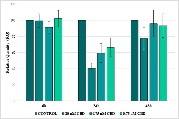 Effects of CBD concentrations (20, 6.75, and 0.75 μM) on sarcoid cell invasion across time points (6, 24, and 48 hours). Quantification of invading cells treated with CBD, expressed relative to those treated with DMSO. Results are shown as mean ± SD of three technical replicates for each of three independent sarcoid cell lines. *P < .05; **P < .01; ***P < .001 compared to control cells as determined by the ANOVA test.