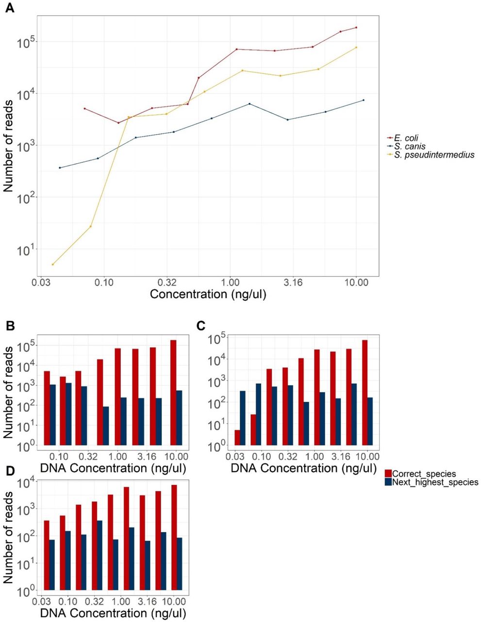 Sequencing serial dilutions of E. coli, S. pseudintermedius and S. canis.1:1 dilution of gDNA in nuclease-free water, sequenced for 24 hours using SQK-RBK004 (rapid barcoding) and R9.4.1 MinION flow cells. A) shows the number of reads identified by EPI2ME’s WIMP tool as the correct species vs starting gDNA concentration. B), C) and D) show the number of reads identified as the correct species vs the number identified as the next most common species for E. coli, S. pseudintermedius and S. canis, respectively.