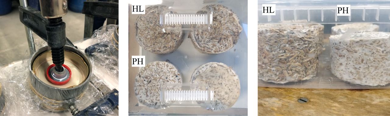 Pre-compressed PHL, PFL, PFWL samples. Unmoulded HL (above, right) and PHL (under, left) samples after 8 days at 28°C, the second growth phase is initiated in a sterile microbox with filters.