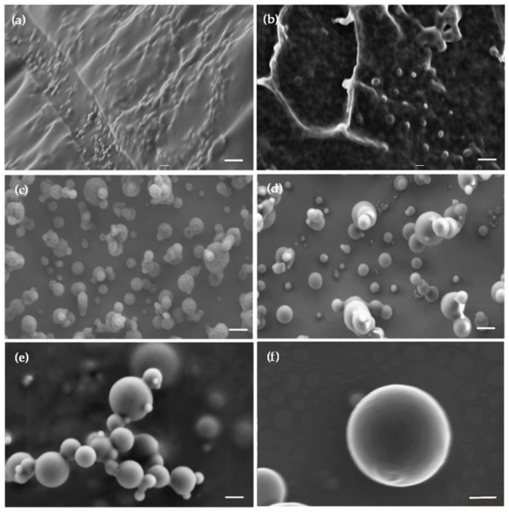 Representative HR-SEM micrographs of (a,b) freeze- and (c–f) spray-dried mixed polymeric micelles. (a) CBD-free non-crosslinked mixed PMs, (b) CBD-loaded non-crosslinked mixed PMs, (c) CBD-free non-crosslinked mixed PMs, (d) CBD-free crosslinked mixed PMs, (e) CBD-loaded non-crosslinked mixed PMs, and (f) CBD-loaded crosslinked mixed PMs. Scale bar: 200 nm.