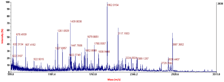 Representative MALDI-TOF reflectron mode MS spectrum of the trypsin digested purified FlaghΔCB1T4Lhis6 receptor.