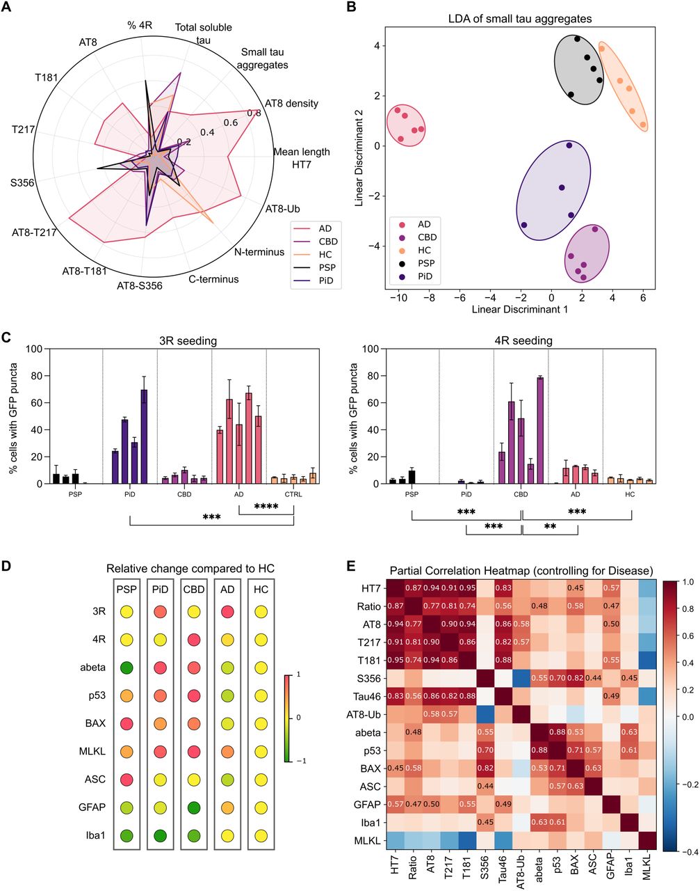 Small tau aggregates encode disease-specific molecular profiles and divergent functional signatures.(A) Radial distribution plot of small tau aggregate features (scaled within each feature. (B) Linear discriminant analysis (LDA) of small tau aggregate features. LD1 explains 79.6% of between-class variance while LD2 explains 14.0% of variance. (C) Isoform-specific tau seeding activity in HEK293 biosensor cell lines expressing either 3R-or 4R-tau. Cells were seeded with equal amounts of sonicated sarkosyl-insoluble tau and the percentage of seeded cells was quantified after 72h based on eGFP puncta. Bars show the mean ± S.D. of the n = 3 technical replicates for each individual (n = 4 for PiD, n = 5 per other disease group). (D) Relative levels of selected stress and inflammatory markers across tauopathies, normalised to the mean of HC samples. Markers include p53 (aggregated form, measured via Simoa), BAX and MLKL (apoptosis and necroptosis, measured via ELISA), GFAP and Iba1 (astrocytic and microglial activation, measured via ELISA), and ASC specks (inflammasome activation, measured via SiMPull). Values are scaled from –1 to 1 to allow cross-marker comparison. (E) Partial correlation matrix showing associations between tau aggregate features and stress or inflammatory markers, controlling for disease group. Only significant associations (p<0.05) are shown. Values indicate partial correlation coefficients, controlling for disease group.