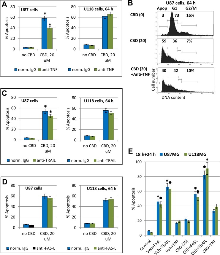 Modulation of apoptosis in glioblastoma cells(A–D) Effects of anti-TNF inhibitory antibody (5 μg/ml), anti-TRAIL inhibitory antibody (5 μg/ml) or anti-Fas-L inhibitory antibody (5 μg/ml) in the media on CBD-induced apoptosis in U87MG and U118MG cells. Typical experiment of cell cycle apoptosis-analysis with PI-stained nuclei is shown in the panel B. The pooled results of four independent experiments are presented in panels (A–C). Error bars represent means ± S.D. (p < 0.05, Student’s t-test). Stars indicate a significant difference in CBD-induced apoptotic levels between control and anti-TNF- or anti-TRAIL-treated U87MG cells. (E) Effects of CBD (20 µM) pretreatment (18 h) on the subsequent treatment (24 h) of glioma cells with exogenous FasL (50 ng/ml) + CHX (1 µg/ml), TNFα (20 ng/ml) + CHX, and TRAIL (50 ng/ml) + CHX. Levels of apoptosis were determined using cell cycle-apoptosis analysis. Stars and black circles indicated significant differences.