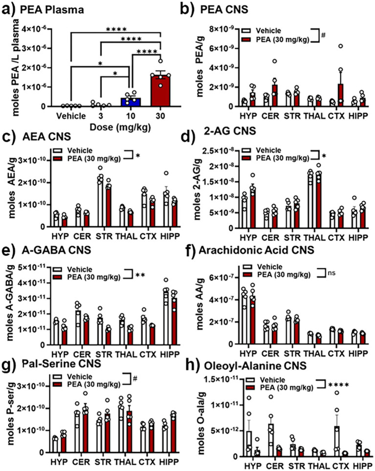 Effects of PEA injection on levels of select lipids in the plasma and CNS. (A) Levels of PEA in plasma 30 min after vehicle, 3, 10, and 30 mg/kg PEA i.p. injection. (B) PEA levels (moles/gram tissue) in 6 brain regions (hypothalamus, HYP; cerebellum, CER; striatum (caudate/putamen), STR; thalamus, THAL; anterior frontal cortex, CTX; hippocampus, HIPP) 30 min after vehicle (white bars) and 30 mg/kg PEA injection (red bars). (C–H) Show the levels of the following endogenous lipids in those same 6 brain regions 30 min after vehicle and 30 mg/kg PEA injection: (C) Anandamide (AEA), (D) 2-arachidonoyl glycerol (2-AG), (E) N-arachidonoyl Gamma-aminobutyric acid (A-GABA); (F) Arachidonic Acid (AA); (G) N-palmitoyl serine (Pal-Ser); and (H) N-oleoyl alanine. #p < 0.1–0.051; *p < 0.05; **p < 0.01, ***and ****p < 0.001, ns = not significant.