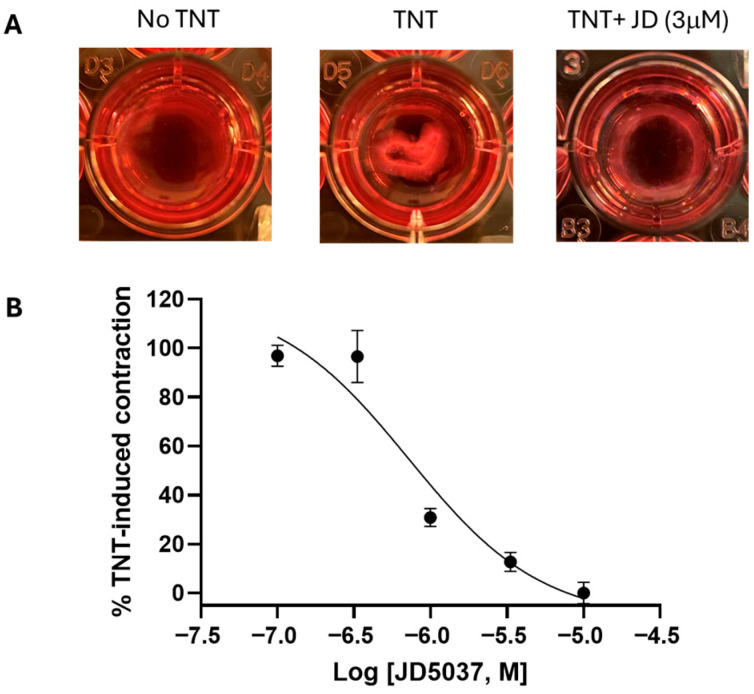 The effects of JD5037 on transdifferentiated RPE cell-mediated collagen matrix contraction. Primary cultured human RPE cells were plated on hydrated collagen gel matrices and treated with vehicle or JD5037 plus TNT (combined TGF-β2 + TNF-α, each at 10 ng/mL) for 72 h. Gels were released from the plate and allowed to contract for 4 h. (A) Representative images of collagen gels contracted by primary cultured human RPE cells. (B) Concentration-response curve of JD5037 in inhibiting human RPE cells mediated collagen matrix contraction. Data are expressed as mean ± SEM.