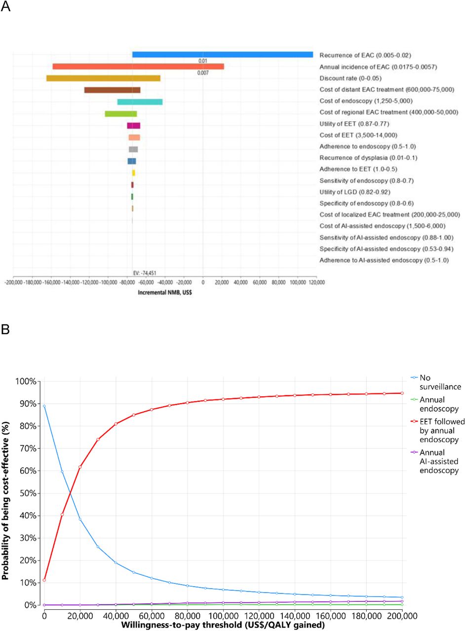 Sensitivity analyses in the LGD cohorts. (A) Tornado diagram comparing no surveillance with EET followed by annual endoscopy. (B) Cost-effectiveness acceptability curves. AI, artificial intelligence; EAC, esophageal adenocarcinoma; EET, endoscopic eradication therapy; LGD, low-grade dysplasia.