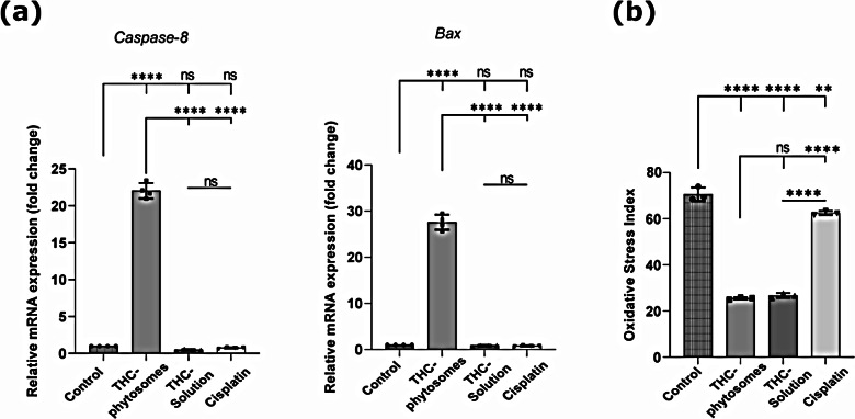 RTqPCR analysis and oxidative stress biomarkers assay. (a) Bar plots for RTqPCR analysis show the unparallel effect of THC-phytosomes compared with other groups in expression of caspase-8 and Bax, apoptotic genes. (b) Another bar graph shows both THC groups culminating the lowest MDA/TAC oxidative stress index of the different test groups compared with the control, highlighting their superior radical-scavenging potential. A one-way ANOVA test followed by Tukey’s test shows * = p < 0.05, ** = p < 0.01, *** = p < 0.001, and **** p < 0.0001, and ns codes for p > 0.05. The data is the mean ± SD of triplicate wells of 6-well plate seeded with 25 × 104 SCC4 cells