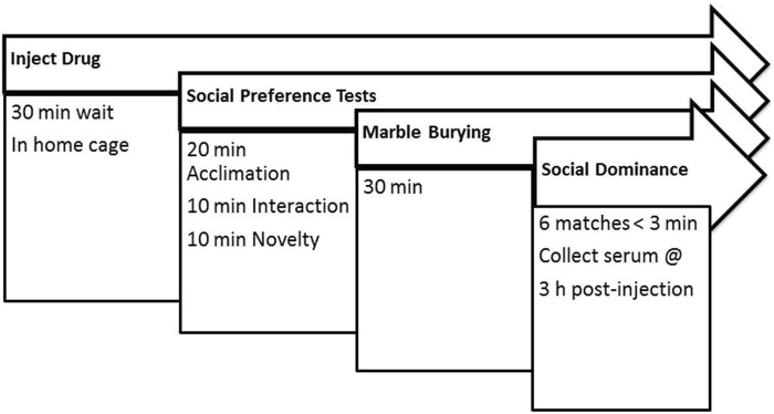 Experimental timeline. Mice were treated with a single dose of cannabidiol or vehicle and were tested on the same day in all behaviors. At 3 h after administration and 30 min after the last dominance test, mice were euthanized and serum collected for measurement of CBD and its metabolites.