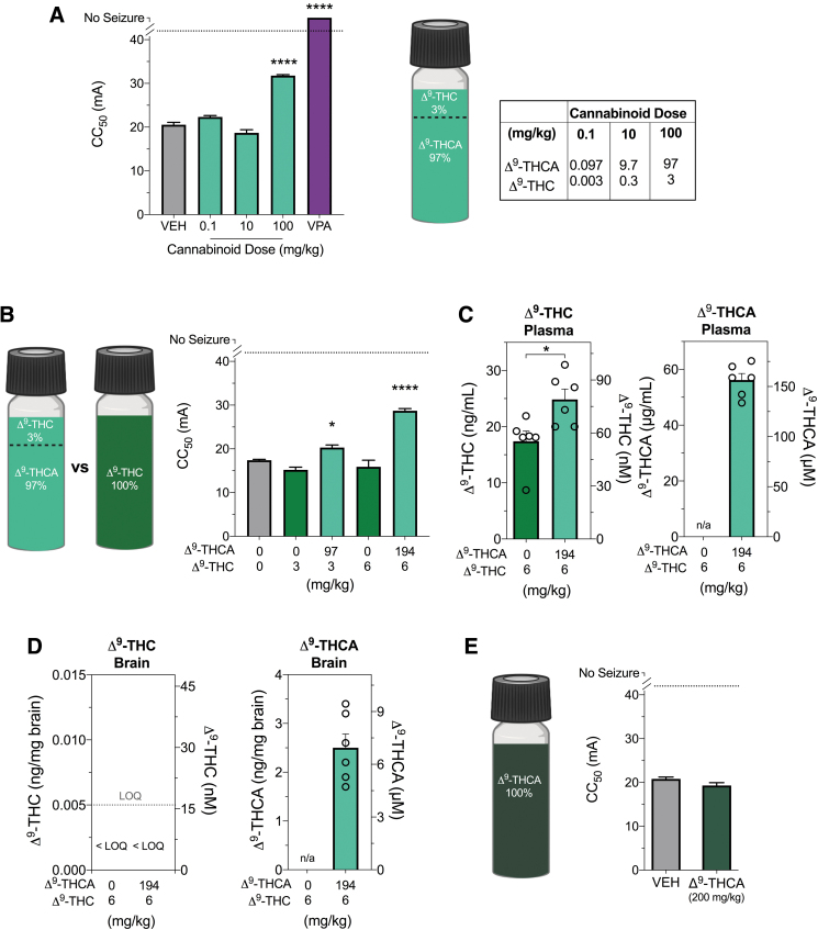 The effects of Δ9-THCA in the 6-HzT test. (A) The CC50 exhibit a psychomotor seizure in the 6-HzT seizure model after acute i.p. treatment with vehicle (VEH, gray bar), varying doses of a Δ9-THCA/Δ9-THC mixture (light green bars) or sodium valproate (VPA, purple bar). Δ9-THCA/Δ9-THC mixture (100 mg/kg) significantly increased the CC50 threshold. Sodium valproate (300 mg/kg) treatment protected mice from psychomotor seizures. Error bars represent SEM, with n=11–12 per treatment (****p<0.0001; one-way ANOVA followed by Dunnett's post hoc compared with vehicle-treated mice). Cannabinoid content of the Δ9-THCA/Δ9-THC mixture was 97% Δ9-THCA and 3% Δ9-THC, with the corresponding doses. (B) The 6-HzT test was repeated to compare CC50 values after treatment with Δ9-THCA/Δ9-THC mixture (light green bar) with those following treatment with matched doses of pure Δ9-THC (green bars). Δ9-THCA/Δ9-THC mixture (100 and 200 mg/kg) significantly increased the CC50, with n=12 per treatment (*p<0.05, ****p<0.0001; one-way ANOVA followed by Dunnett's post hoc compared with vehicle-treated mice). (C) Plasma and (D) brain concentrations of Δ9-THC (left panel) and Δ9-THCA (right panel) in individual animals after treatment with 6 mg/kg Δ9-THC (green bar) or 200 mg/kg Δ9-THCA/Δ9-THC formulation (light green bars). Significantly higher plasma Δ9-THC concentrations were observed after treatment with the Δ9-THCA/Δ9-THC mixture (*p<0.05, Student's t-test). Concentrations of Δ9-THC in brain samples were below the LOQ, depicted by the dashed line. Concentrations are depicted as both mass concentrations (left y-axis) and molar concentrations (right y-axis). Error bars represent SEM, with n=6 per treatment. (E) The CC50 value in the 6-HzT seizure model after acute i.p. treatment with vehicle (VEH, grey bar) or 200 mg/kg pure Δ9-THCA (dark green bar) that contained <0.5% Δ9-THC impurity. Error bars represent SEM, with n=12 per treatment (Student's t-test). ANOVA, analysis of variance; CC50, critical current at which 50% of mice seized; 6-HzT, 6-Hz threshold; LOQ, limit of quantification.