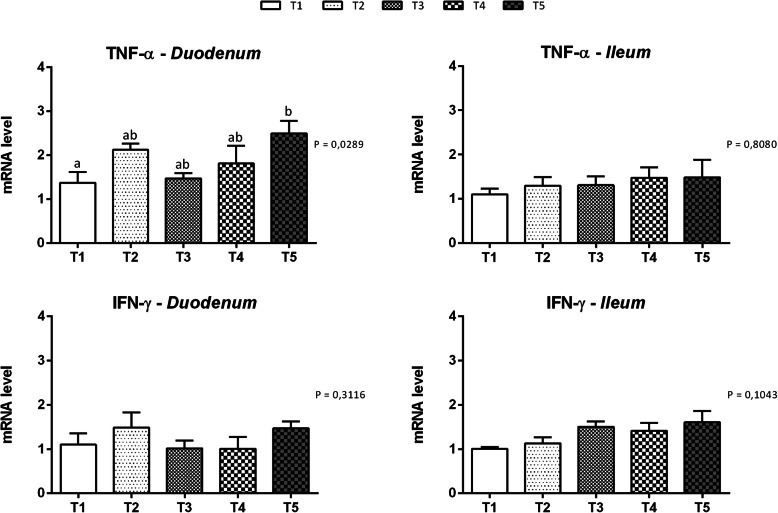 Gene expression of inflammatory cytokines in duodenal and ileal mucosa of piglets. Data are expressed as means (n = 8) and S.E.M. represented by vertical bars. a, b Values with different superscripts differ significantly at P < 0.05. T1 = basal diet; T2 = basal diet + 25.5 mg of thymol/kg feed; T3 = basal diet + 51 mg of thymol/kg feed; T4 = basal diet + 153 mg of thymol/kg feed; T5 = basal diet + 510 mg of thymol/kg feed (Vetagro SpA, Reggio Emilia, Italy). A modification of the 2–ΔΔCT method was used to analyze the relative expression (fold changes), calculated relative to the control group (control; Livak and Schmittgen, 2001 [21]). TNF-α = tumor necrosis factor-α; IFN-γ = interferon-γ
