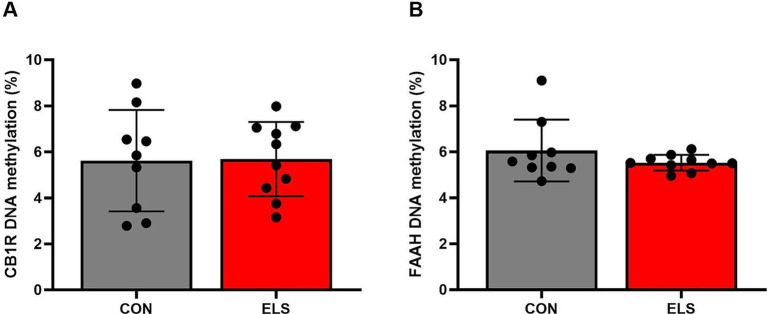 Mean DNA methylation levels across the analyzed 11 CpG sites within the promoter region of the CB1R gene (A) and across the analyzed 9 CpG sites within the promoter region of the FAAH gene (B). Mean methylation was calculated as mean value of DNA-methylation across 11 CpG sites of CB1R gene and across 9 CpG sites of FAAH gene. DNA methylation levels are presented as mean ± SD. CON, control (n = 9); ELS, early life stress (n = 10).