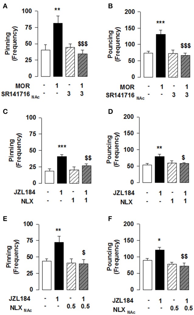 MOR activation in the NAcC is necessary for the 2-AG induced stimulation of social play in adolescent rats. Play-enhancing effects of morphine (1 mg/kg, s.c.) were prevented by intra-NAcC infusion of SR141716 (3 μg/0.3 μl) (A,B). Systemic pretreatment with the OR antagonist naloxone (NLX: 1 mg/kg, s.c.) blocked the effects of JZL184 (1 mg/kg, i.p.) on pinning (C) and pouncing (D). Intra-NAcC infusion of NLX (0.5 μg/0.3 μl) antagonized the play-enhancing effects of JZL184 (1 mg/kg, i.p.) (E,F). Data represent mean ± S.E.M. frequency of pinning and pouncing. *p < 0.05; **p < 0.01, ***p < 0.001 vs. vehicle; $p < 0.05, $$p < 0.01, $$$p < 0.001 vs. vehicle/JZL184 and vehicle/morphine (Student-Newman-Keuls post-hoc test). N = 6–12 per treatment group.