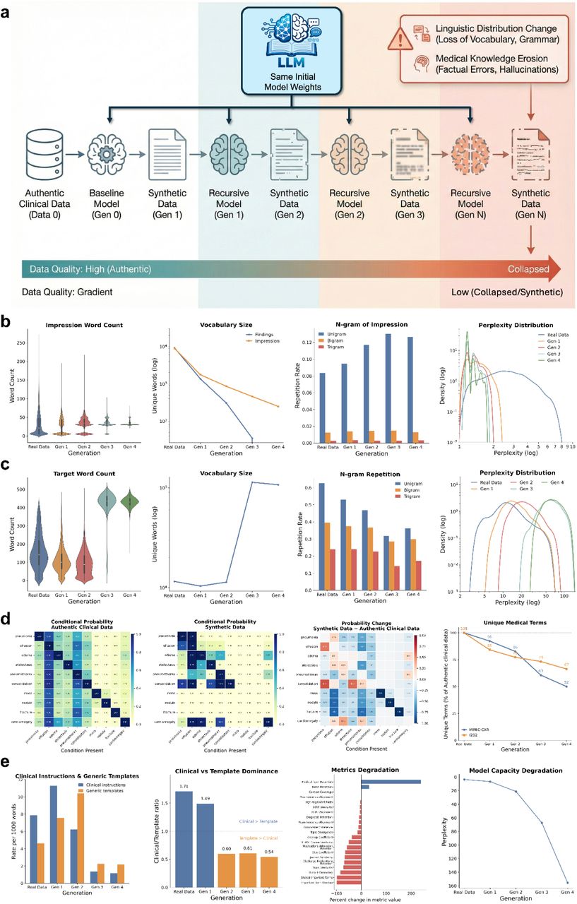 Erosion of linguistic diversity and clinical knowledge in clinical notes driven by AI-generated data contamination in self-referential learning.a, Schematic of the self-referential training framework for clinical notes generation. To isolate the impact of data degradation from accumulated training updates, each generation is freshly initialized from the original pre-trained checkpoint and trained exclusively on synthetic outputs from the preceding generation. b, Linguistic collapse in radiology report generation, characterized by converging impression word counts, shrinking vocabulary size, increased n-gram repetition, and rising perplexity across generations. c, Degradation in intensive care unit (ICU) discharge instruction generation, showing reduced output length and vocabulary richness alongside increased repetitiveness. d, Erasure of pathophysiological relationships in generated ICU discharge instructions: condition co-occurrence matrices of real data versus generation 4 reveal loss of pathophysiological relationships, with the difference matrix showing systematic suppression of rare findings (mass, nodule, fracture); unique medical term counts decline across both MIMIC-CXR and i2b2 datasets. e, Loss of clinically actionable content in generated ICU discharge instructions: clinically actionable content degrades while generic template language increases, inverting the clinical-to-template ratio below 1.0 by generation 3; semantic coherence metrics show widespread degradation, while model perplexity on real clinical text increases >8-fold indicating progressive loss of clinical language comprehension.