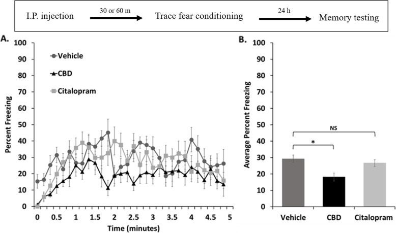 Contextual memory was reduced in female mice with CBD but not citalopram. a. Time course of the freezing levels during a five-minute exposure to the original conditioning context for each treatment group. b. Freezing levels averaged across the period shown in A with standard errors indicated. Mice that received CBD treatment showed a significant reduction in freezing compared to controls when assessed with a one-tailed t-test (*P< 0.05), however, citalopram treated animals did not show a difference (NS). The timeline for the experiment is shown in the inset above