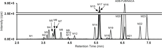 Combined extracted ion chromatogram of ADB-FUBINACA and metabolites obtained from hepatocyte incubation after 3 h. ADB-FUBINACA metabolites are numbered M1 to M23 in ascending order of retention time.