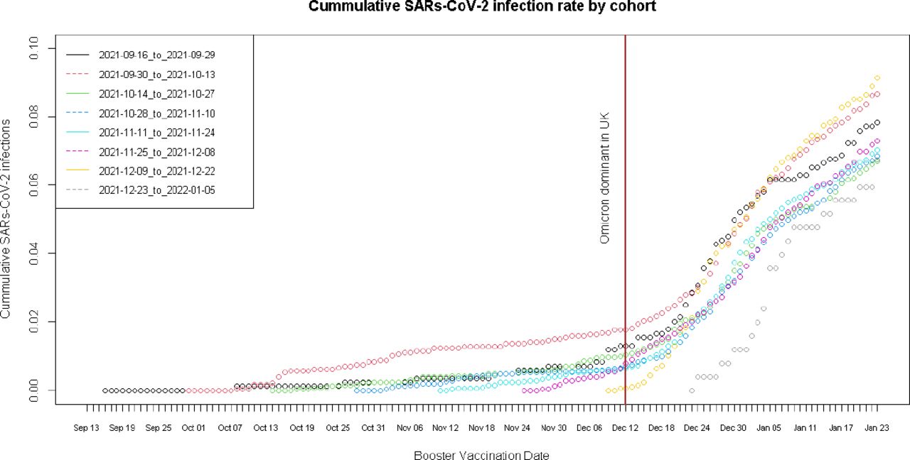 Cumulative SARs-CoV-2 incidence rate by vaccination date cohort. Between the date of booster vaccination and end of study, the rates of increase in cumulative proportions by cohort were:Cohort: 2021-09-16 to 2021-09-29: 0.055 [95%CI: 0.049 - 0.062] percent increase per dayCohort: 2021-09-30 to 2021-10-13: 0.066 [95%CI: 0.060 - 0.073] percent increase per dayCohort: 2021-10-14 to 2021-10-27: 0.064 [95%CI: 0.057 - 0.071] percent increase per dayCohort: 2021-10-28 to 2021-11-10: 0.078 [95%CI: 0.070 - 0.086] percent increase per dayCohort: 2021-11-11 to 2021-11-24: 0.107 [95%CI: 0.098 - 0.098] percent increase per dayCohort: 2021-11-25 to 2021-12-08: 0.136 [95%CI: 0.129 - 0.143] percent increase per dayCohort: 2021-12-09 to 2021-12-22: 0.231 [95%CI: 0.220 - 0.241] percent increase per dayCohort: 2021-12-13 to 2022-01-05: 0.227 [95%CI: 0.207 - 0.246] percent increase per day