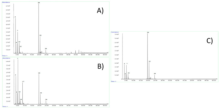 GC-MS chromatograms of the hemp essential oils obtained from the monoecious Felina 32 inflorescence (A), and female (B) and male (C) inflorescences of CS. Peak numbering refers to Table 1.