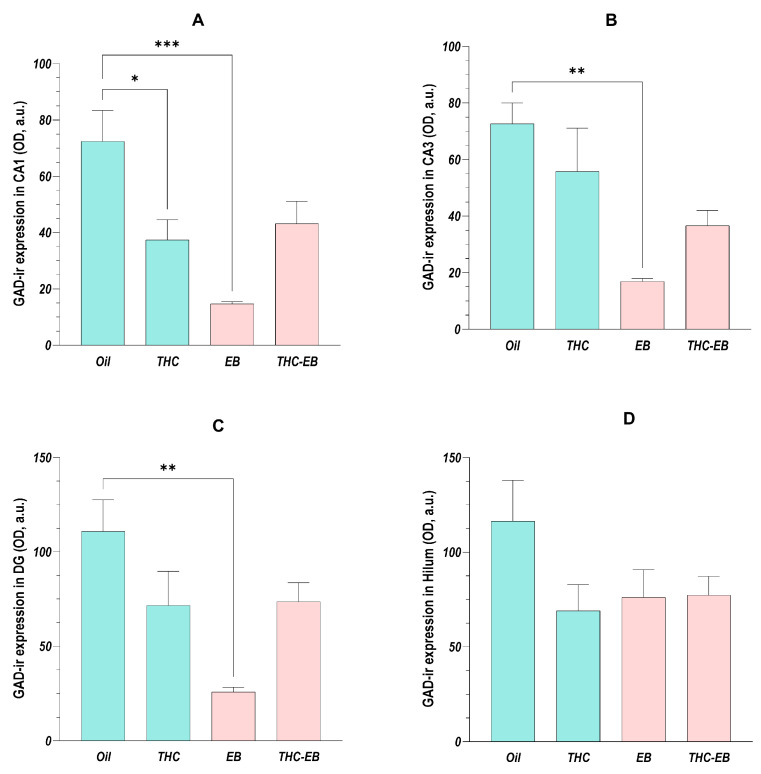 GAD expression variation in HF in groups treated with the vehicle (Oil), delta-9-tetrahydrocannabinol (THC), estradiol benzoate (EB), and THC-EB, divided by areas: CA1 (A), CA3 (B), dentate gyrus (DG, (C)), and hilum (D). Columns represent means ± SEM. Tukey’s Post Hoc tests: *** p < 0.001, ** p < 0.01, * p < 0.05, comparing paired groups.