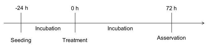 Protocol of NO and cytokine measurement
