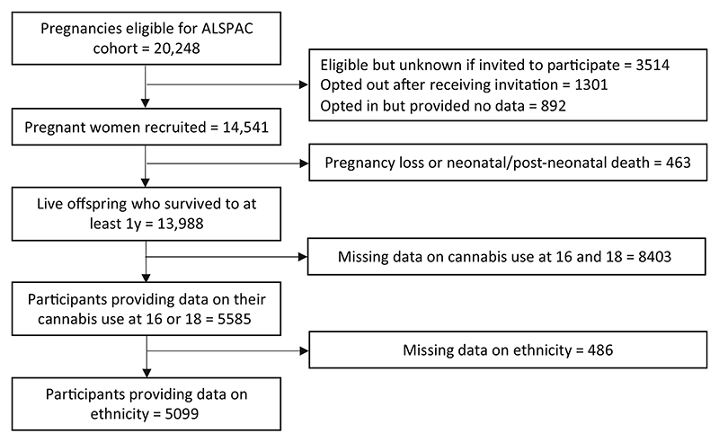 Flow diagram of the Avon Longitudinal Study of Parents and Children participants into this study sample.