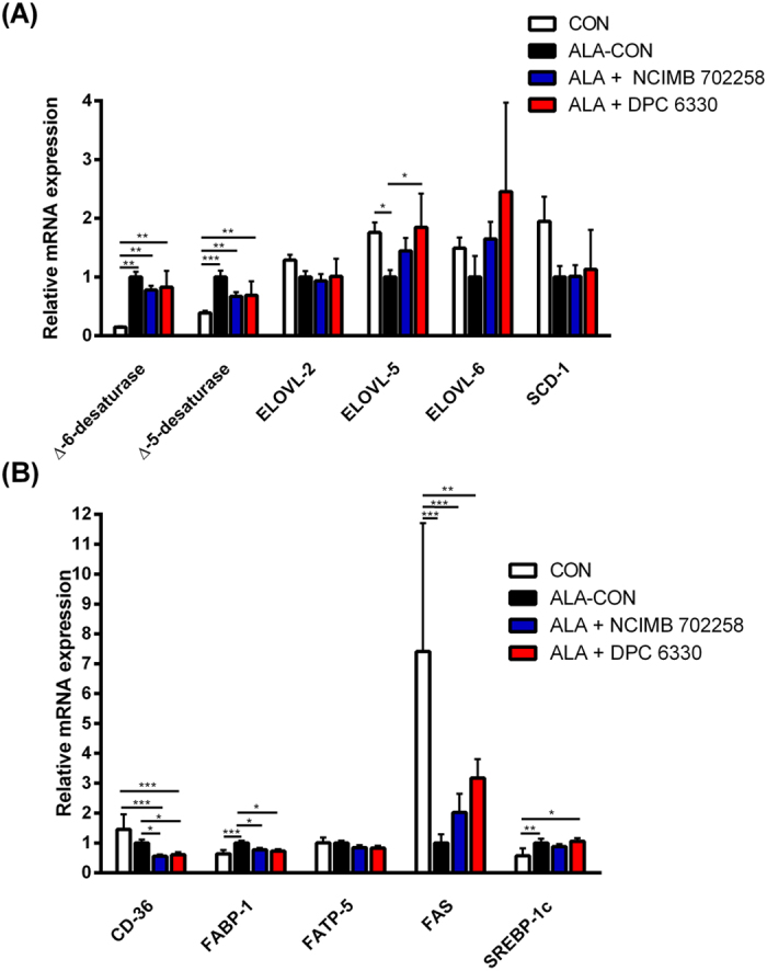 (A) Relative mRNA gene expression of fatty acid metabolism enzymes and (B) fatty acid uptake enzymes, in the livers of mice fed ALA enriched diets either alone (n = 10) or in combination with Bifidobacterium breve NCIMB 702258 (n = 10) or B. breve DPC 6330 (n = 10), or an unsupplemented diet (n = 10), relative to β-actin.Expression in the unsupplemented and ALA enriched diets supplemented with either B. breve NCIMB 702258 or B. breve DPC 6330 is relative to the ALA enriched diet, which was set to 1. Values are means ± SD, represented by vertical bars. Data was analysed by one-way ANOVA, followed by post hoc Tukey’s multiple comparison test. Significant differences are represented by *(P < 0.05), **(P < 0.05), ***(P < 0.05).