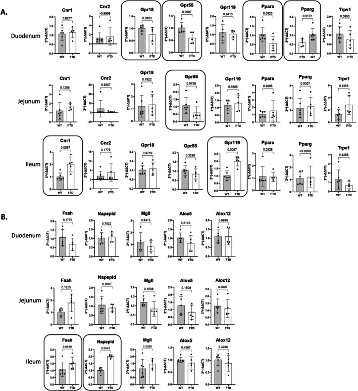 Expression of genes related to eCBome (A) receptors and (B) enzymes in the small intestine. Only those genes for which the difference between the two groups was statistically significant (p < 0.05) or trending towards significant (p < 0.1) are shown.