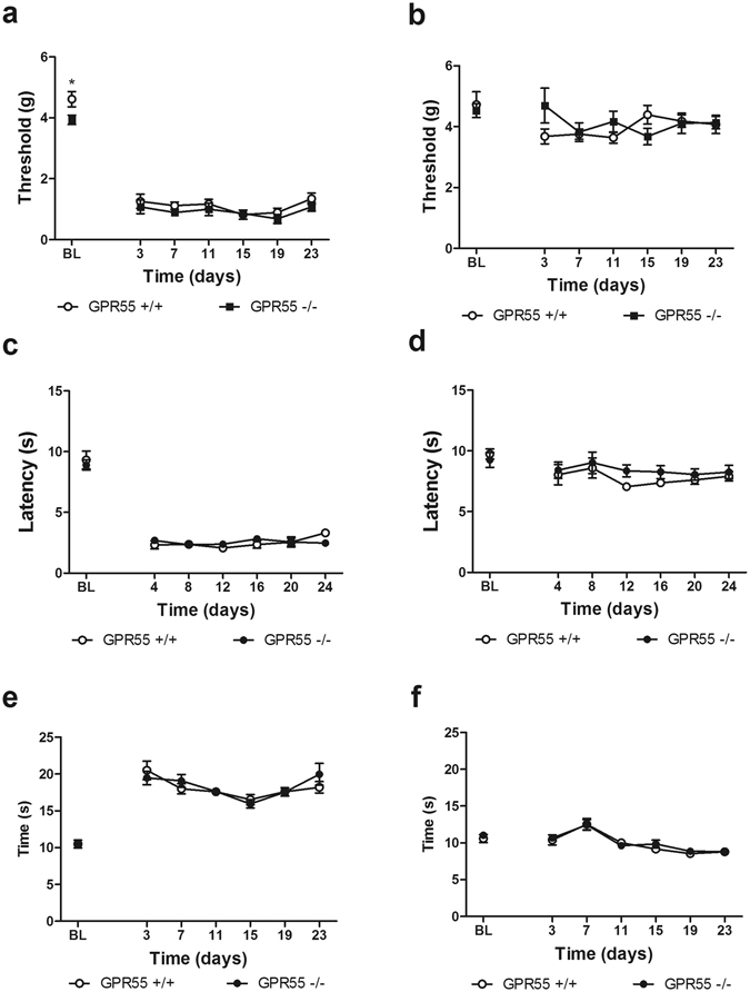 GPR55 KO and WT mice develop similar levels of hypersensitivity to mechanical, heat, and cold stimulation following a partial sciatic nerve ligation. GPR55 KO and WT mice develop similar levels of mechanical (a), heat (c) and cold allodynia (e) in the paw ipsilateral to PSNL. Responses of the contralateral paw to mechanical (b), heat (d) and cold (f) stimulation did not differ between genotypes. Data are expressed as mean ± SEM (n = 7–8 per group). 2-way ANOVA. 2-tailed t-test. *p < 0.05 vs. GPR55 KO.