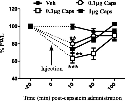 Effects of intraplantar injection of different doses of capsaicin on thermal paw withdrawal latency. Data are expressed as mean ± SEM of % PWL and analyzed using one way ANOVA test followed by Dunnett’s post-hoc, all doses of capsaicin were compared to vehicle at 10 min after injection (**P < 0.01, ***P < 0.001, n = 7 rats per group)
