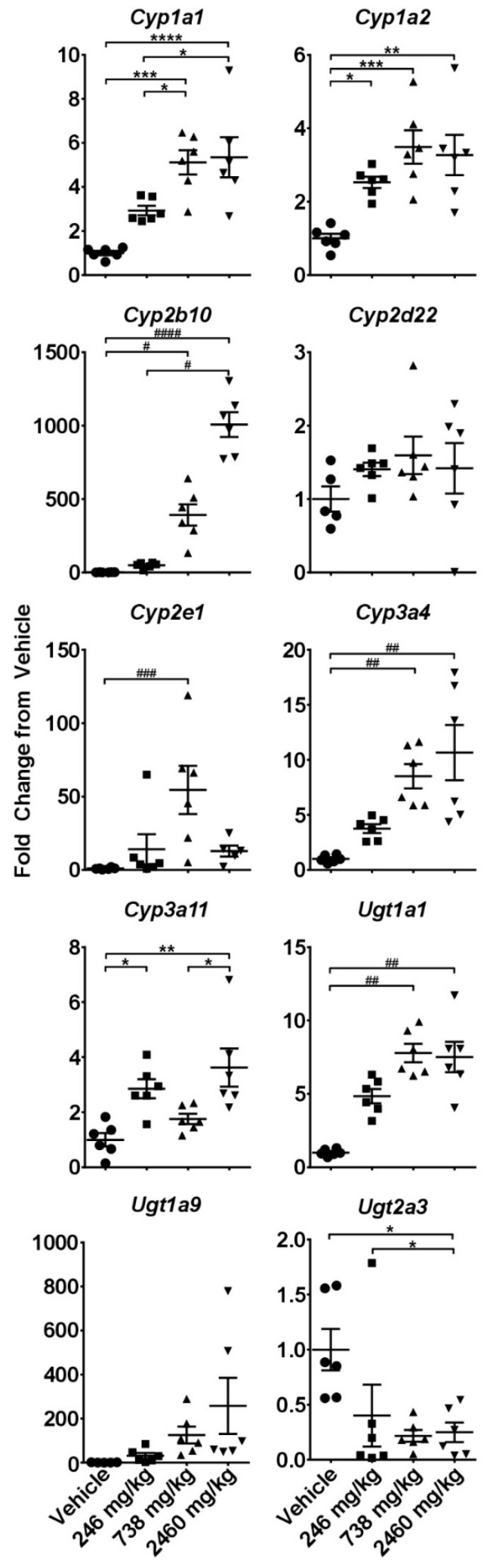 Effects of single gavage with CBD on intrahepatic expression of cytochrome P450s and UDP-glucuronosyltransferases. Livers were collected at 24 h and gene expression was measured using the quantitative real-time (qRT) PCR. * - indicate data analyzed by One-Way ANOVA with Tukey’s post-test, and # indicate non-normal data analyzed with a Kruskal-Wallis and Dunn’s post-hoc test. Data are presented as mean ± SEM fold changed from vehicle (n = 6), with * or # as p < 0.05; ** or ## as p < 0.01; *** or ### as p < 0.001; and **** or #### as p < 0.0001.