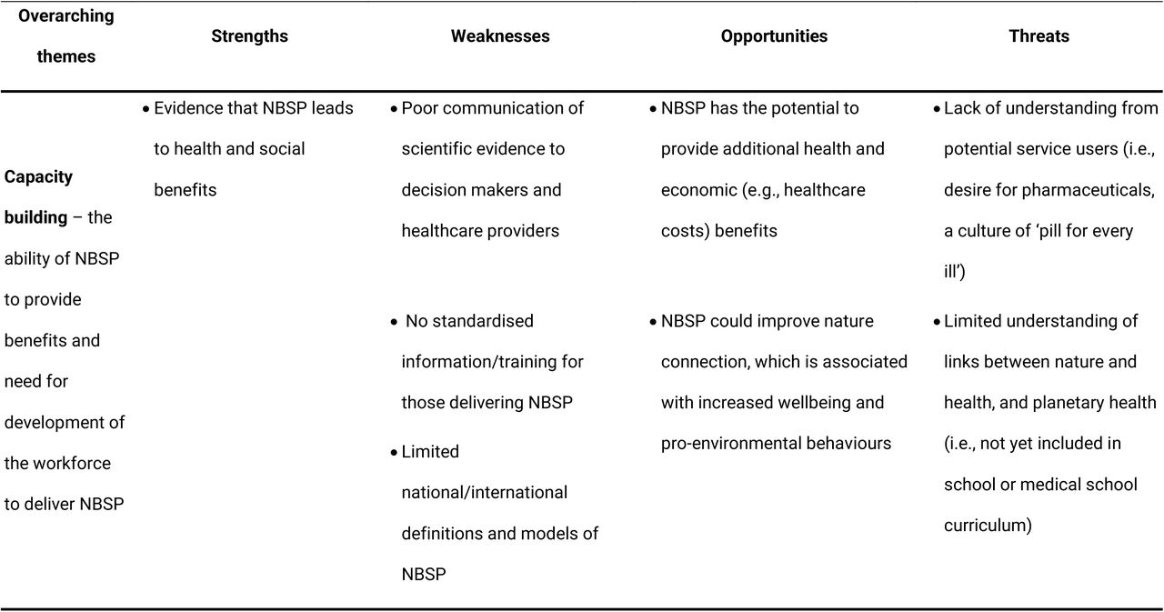 Analysis of strengths, weaknesses, opportunities, and threats related to implementation of NBSP in Germany and the UK identified during the expert workshop, organised by overarching theme.